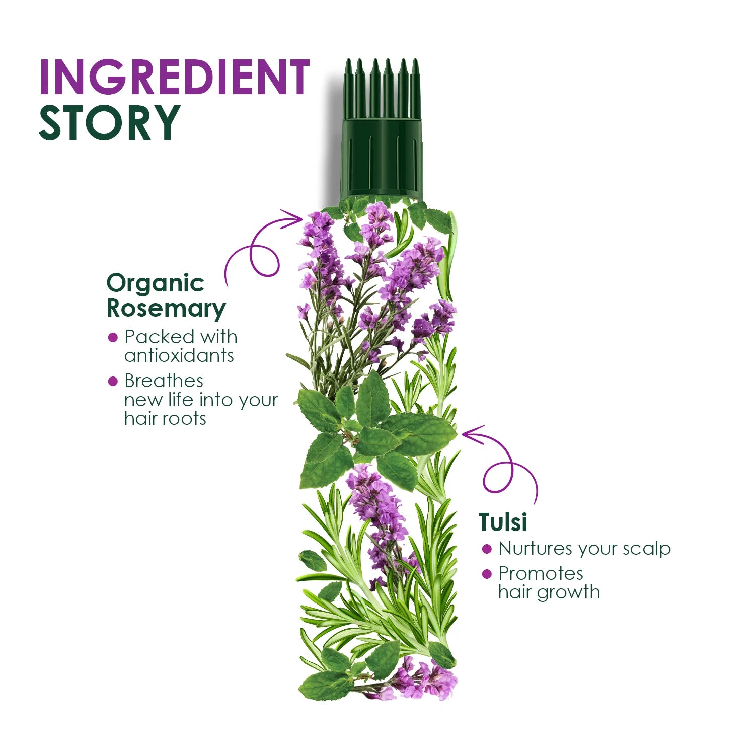 Huile de Romarin Bio Kesh King - 200ml