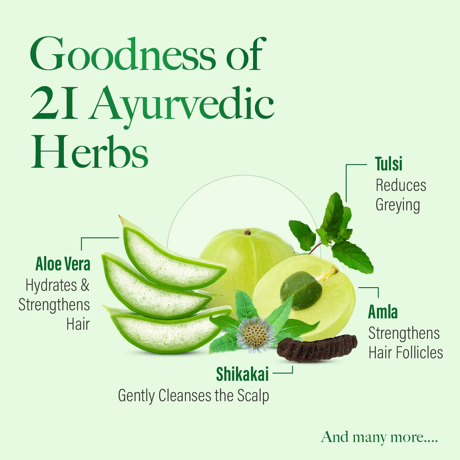 كيش كينغ – بلسم أيورفيدي مضاد لتساقط الشعر – 200 مل